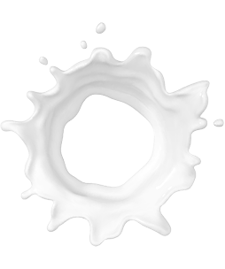 Главная